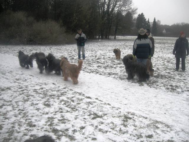 wasserwald2011