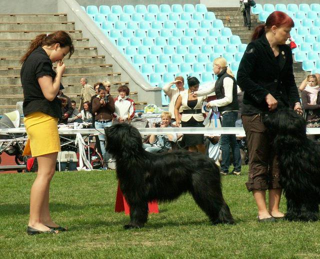 aquene11mo
