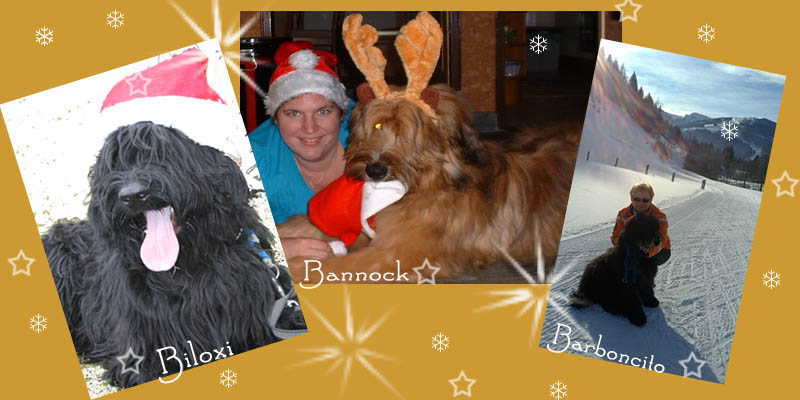 xmas2011